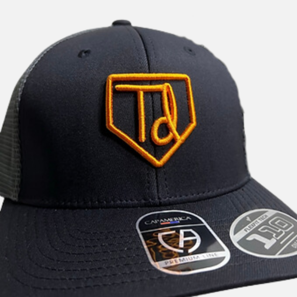 Total Domination Sports homeplate icon hat. Embroidered td logo in orange.
